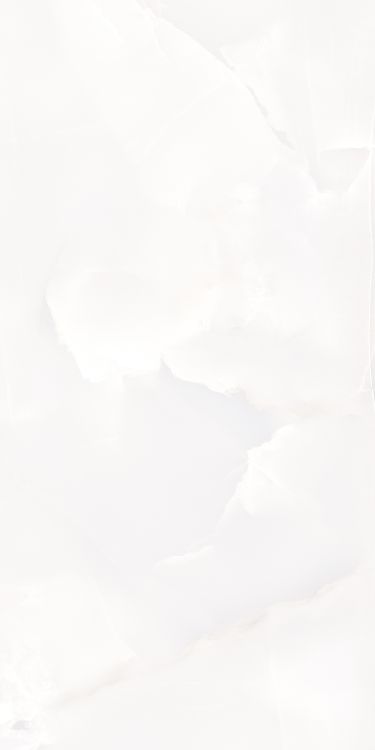 Matrix Onix White Matte 24 x 48